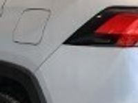 Obraz 3