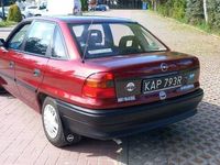 Obraz 3