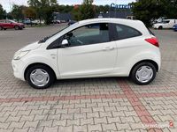 Obraz 3