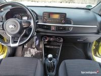 używany Kia Picanto 2019r. 1,0 58ty.km. 67KM klimatyzacja