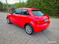 Obraz 3
