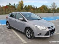 Używany Ford Focus 2013 Hatchback