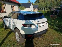 Używany Land Rover Range Rover 2018 SUV