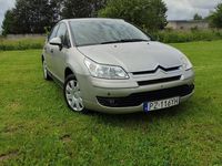 Obraz 3