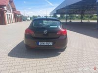 Obraz 3