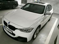 Obraz 3