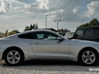 używany Ford Mustang 2.3 EcoBoost