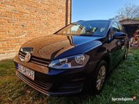 Obraz 3