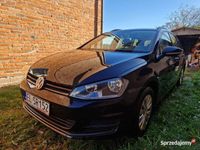 używany VW Golf VII 1.4 TSI Bezwypadkowy Salon PL