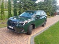 Używany Subaru Forester 2023 Zielony SUV