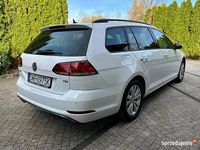 używany VW Golf VII Golf VWKombi 1.5TSI Salon Polska Prywatnie Idealny St…