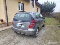 Obraz 3