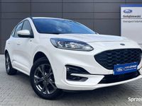 Używany Ford Kuga ST-Line 2022 Biały SUV