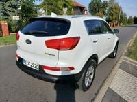 Obraz 3