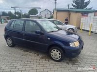 Obraz 2