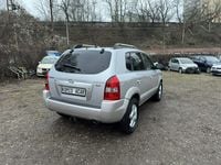 Obraz 3
