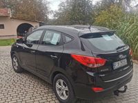 Obraz 3