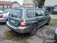 Obraz 3