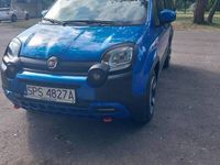 Używany Fiat Panda Cross Cross 2024 Hatchback
