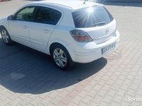 Obraz 3