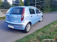 Obraz 3
