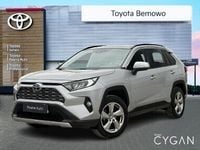 Obraz 1
