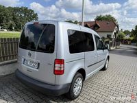 Obraz 3