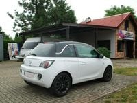 Obraz 3