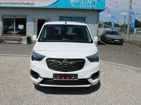 Obraz 3
