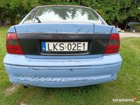 Obraz 3