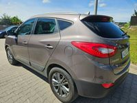 Obraz 3