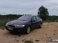 Obraz 3