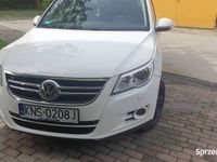 Obraz 3