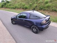Obraz 3