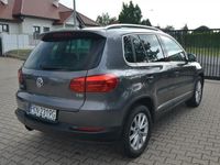 Obraz 3