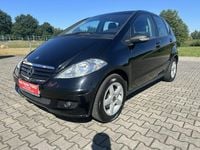 Obraz 3