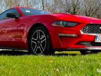 używany Ford Mustang 2019 r 2,3 Eco Boost SUPER STAN