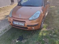 Obraz 3