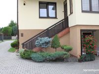 Obraz 3