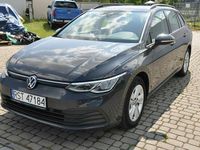 Używany VW Golf VIII 130 KM (95 kW) 2023 Szary Kombi