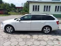 Obraz 3