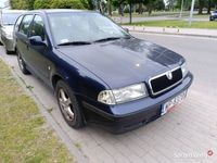 Obraz 3