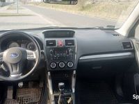 Obraz 3