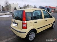 Używany Fiat Panda 2009 Hatchback