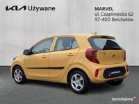 Używany Kia Picanto 2024 Żółty Hatchback