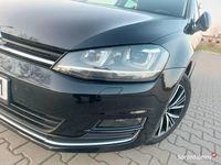 Używany VW Golf VII Allstar 2017 Czarny Hatchback