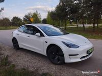Używany Tesla Model 3 Standard Range Plus 208 kW (283 KM) 2021 Sedan/Limuzyna