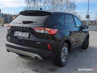 używany Ford Escape 1.5 2wd