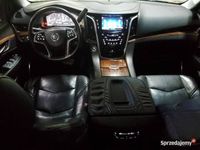 używany Cadillac Escalade 2015