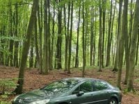 Używany Peugeot 407 136 KM (100 kW) 2007